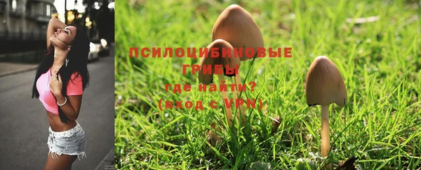 дживик Семёнов