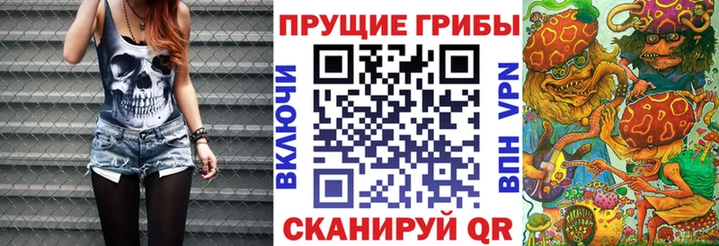 Галлюциногенные грибы GOLDEN TEACHER  Чапаевск 